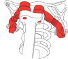SPC Performance Front Adjustable Upper Control Arms